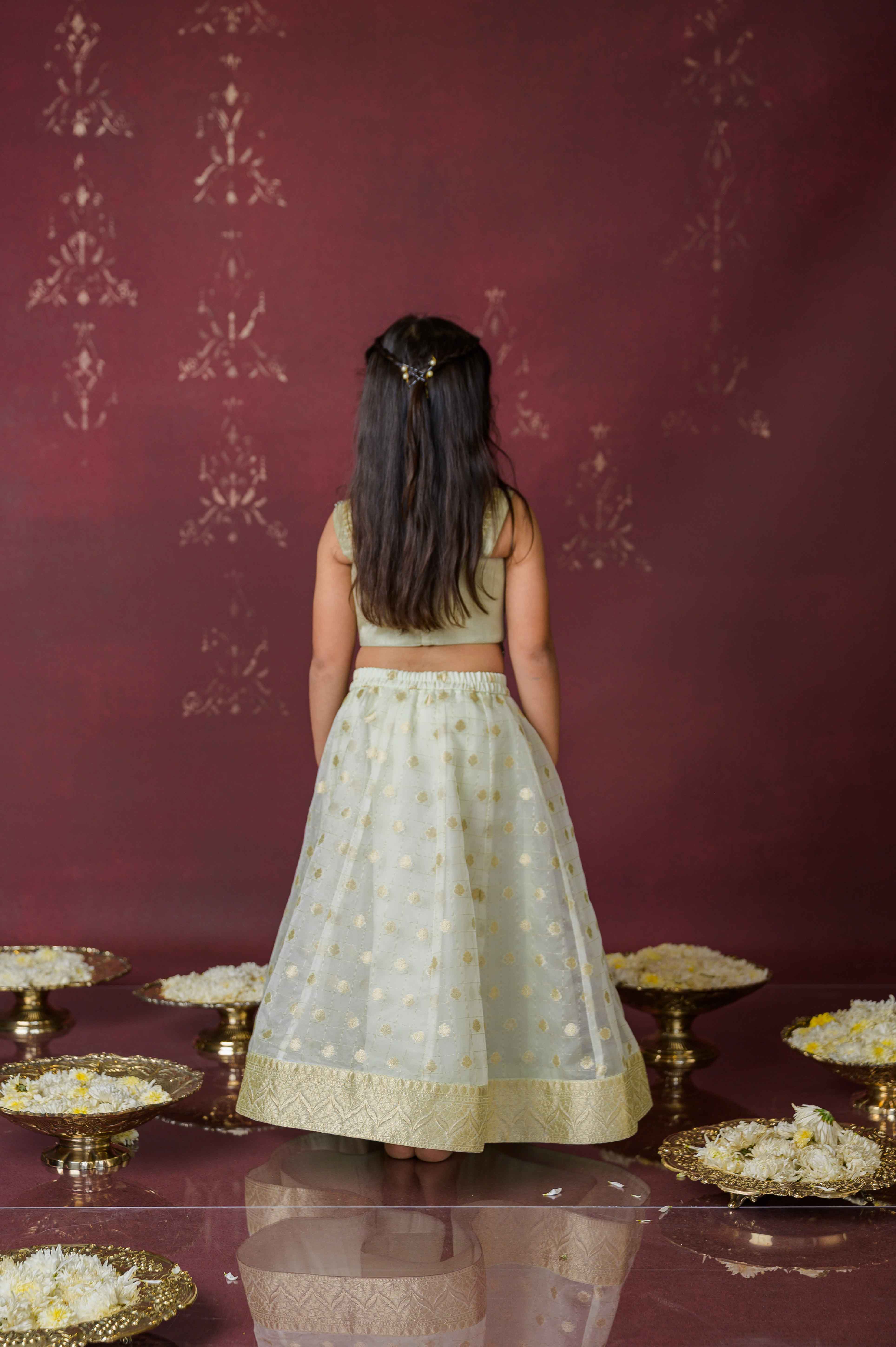 Sitara Sheen Lehenga Set