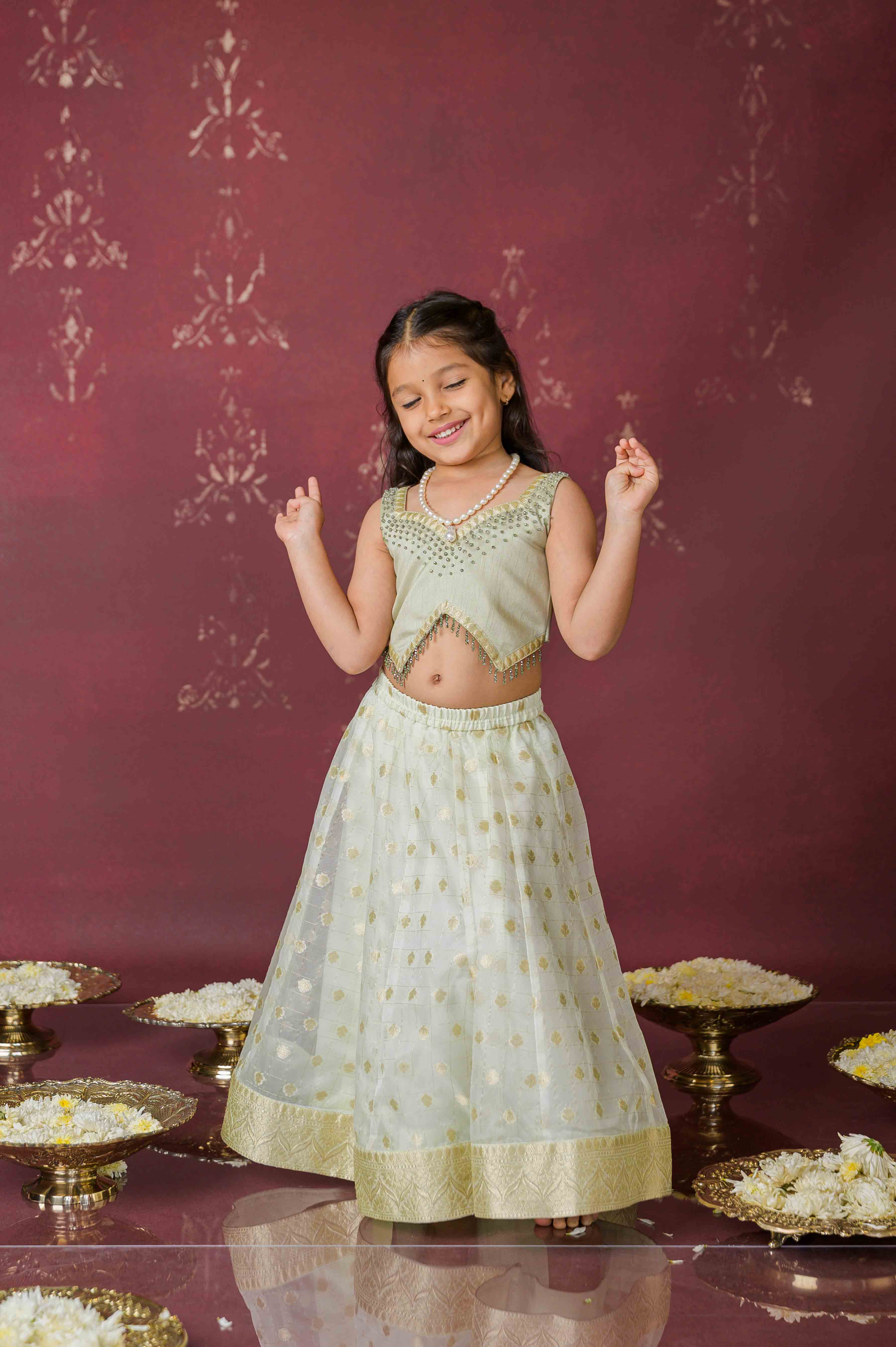 Sitara Sheen Lehenga Set