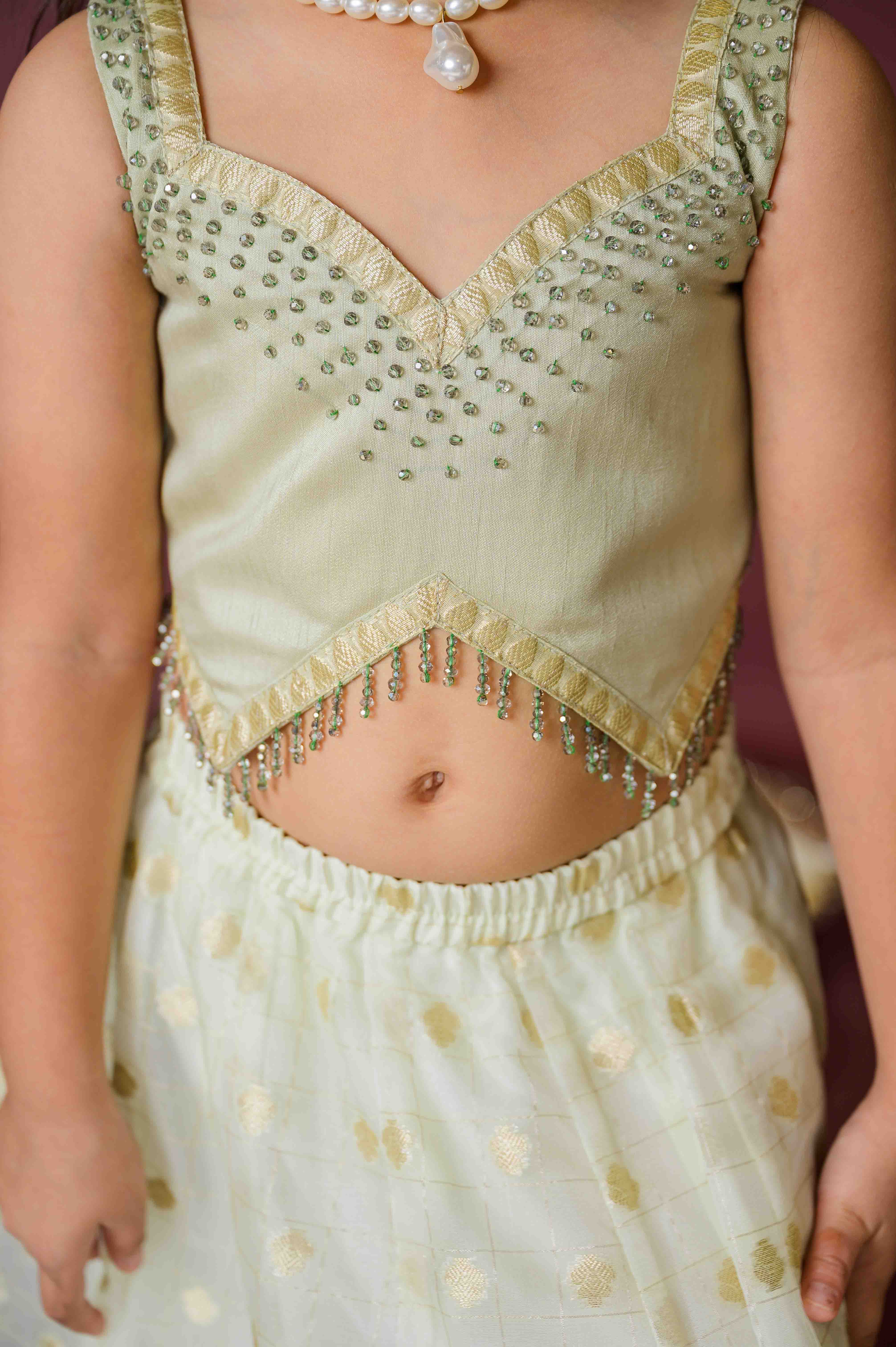 Sitara Sheen Lehenga Set